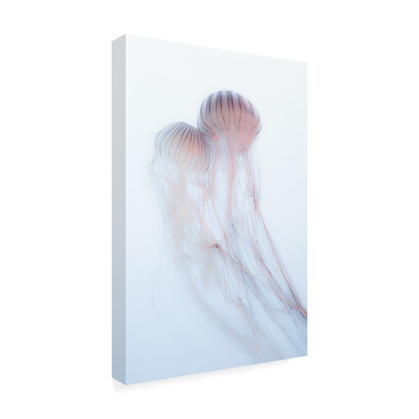 Takeshi Marumoto 'Lovers Pink Jellyfish' Canvas Art,12x19